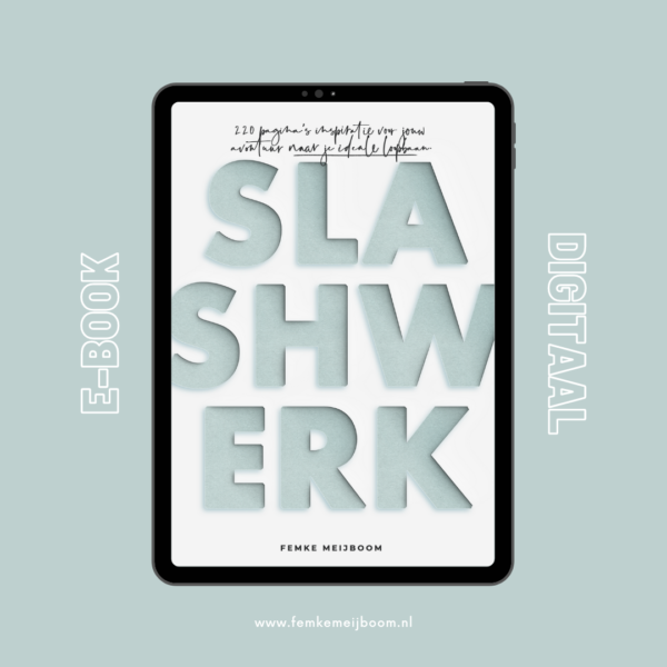 e-book loopbaanboek slashwerk kiezen combineren femke meijboom
