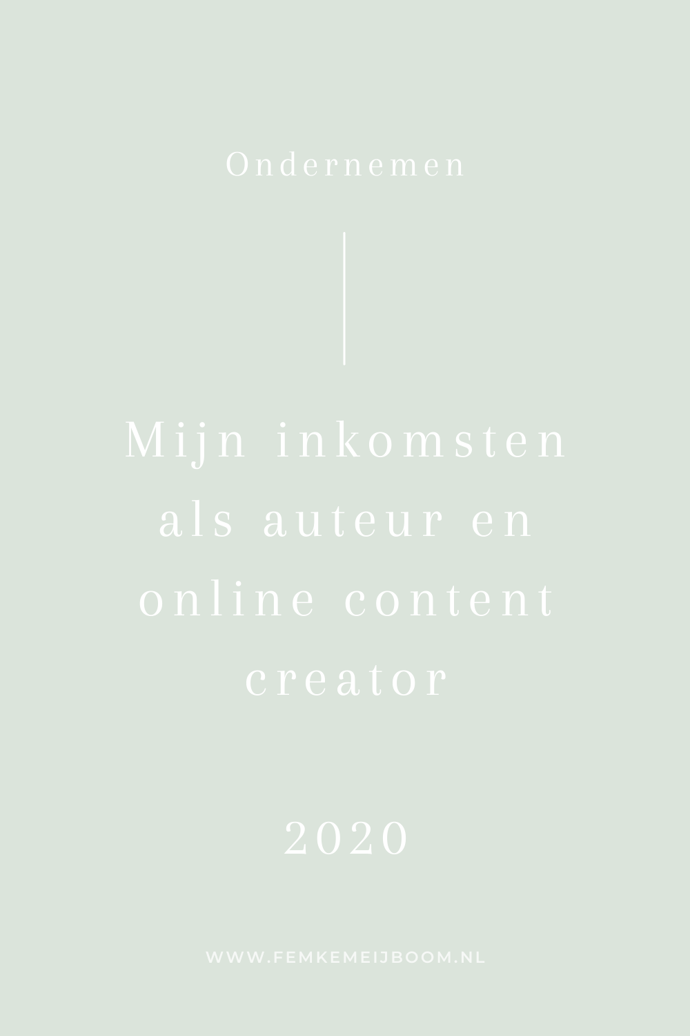 Mijn omzet als ondernemer, auteur en content creator (2020)