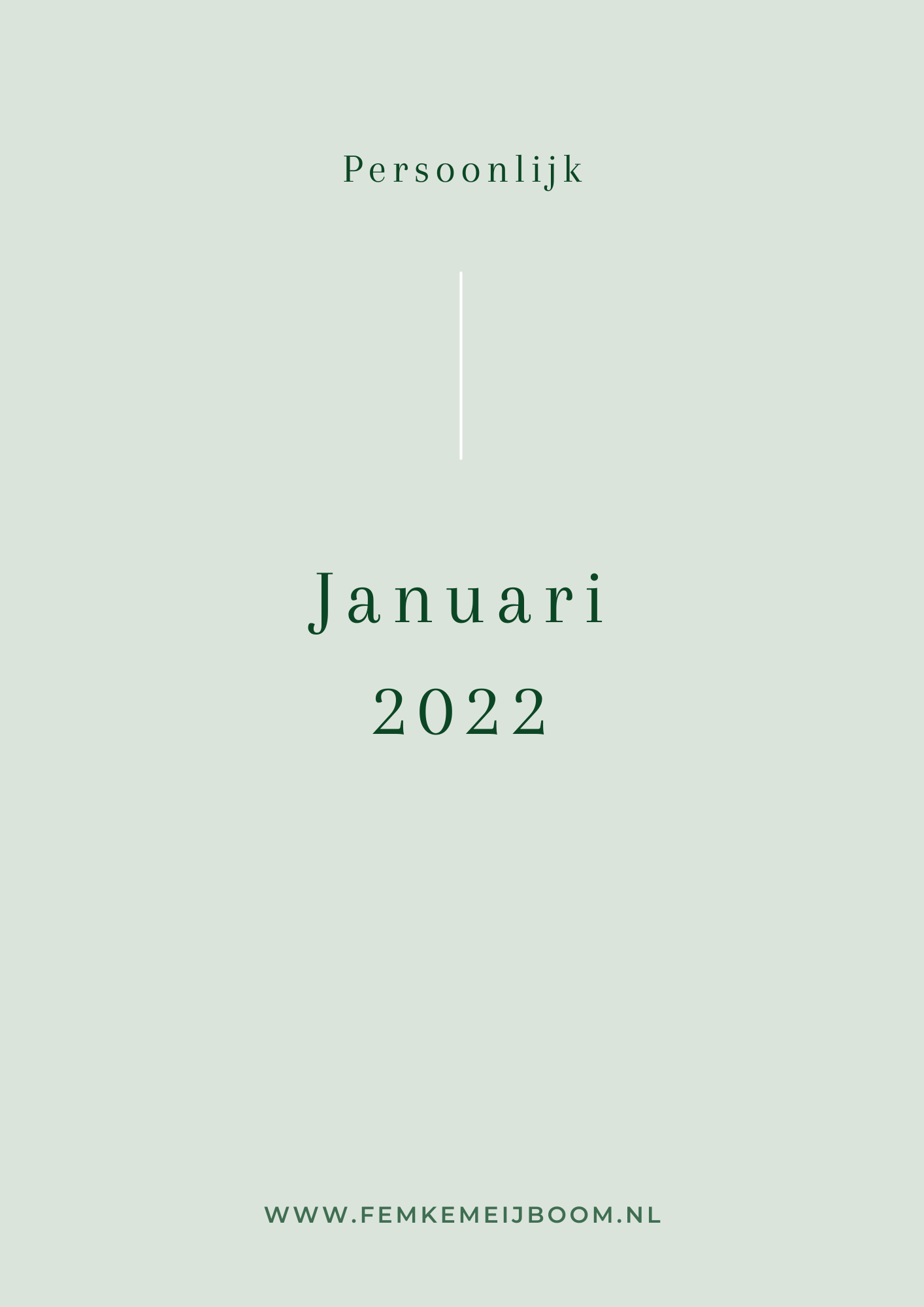 Mijn januari 2022 maandoverzicht